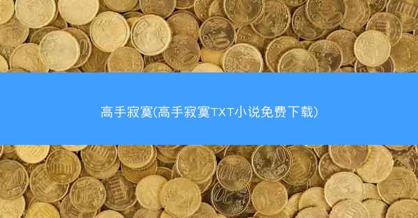 高手寂寞(高手寂寞TXT小说免费下载)