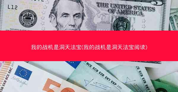 我的战机是洞天法宝(我的战机是洞天法宝阅读)