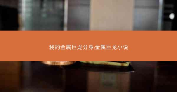 我的金属巨龙分身;金属巨龙小说