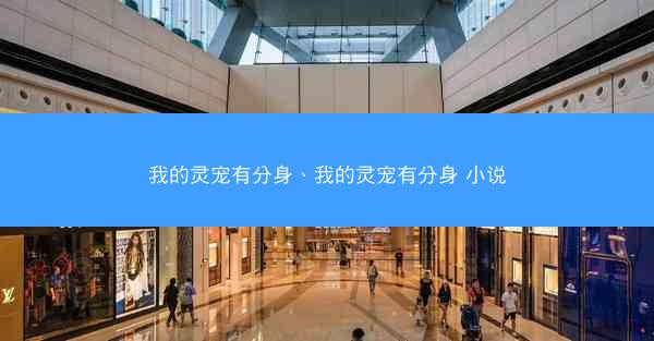我的灵宠有分身、我的灵宠有分身 小说