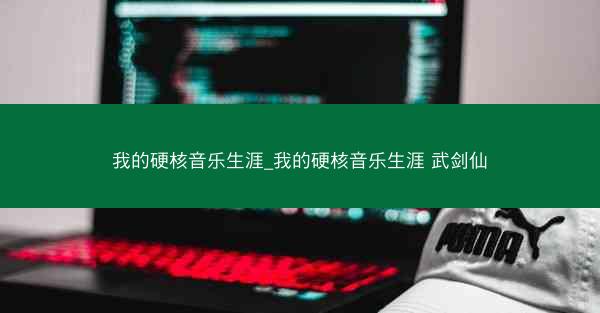 我的硬核音乐生涯_我的硬核音乐生涯 武剑仙
