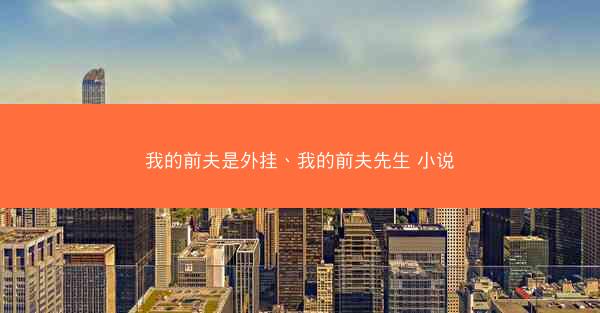 我的前夫是外挂、我的前夫先生 小说