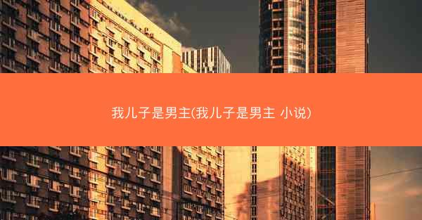 我儿子是男主(我儿子是男主 小说)