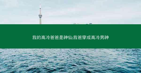 我的高冷爸爸是神仙;我爸穿成高冷男神