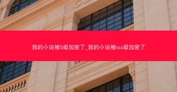 我的小说被S级加密了_我的小说被sss级加密了