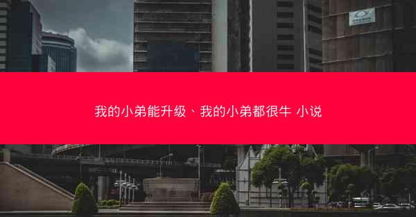 我的小弟能升级、我的小弟都很牛 小说