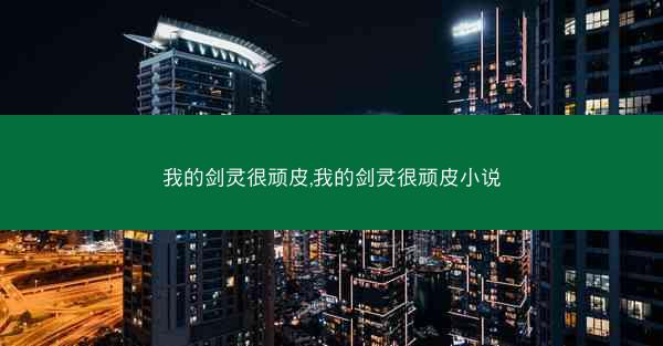 我的剑灵很顽皮,我的剑灵很顽皮小说