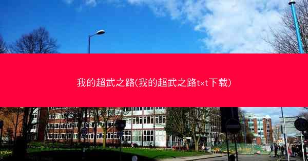 我的超武之路(我的超武之路t×t下载)