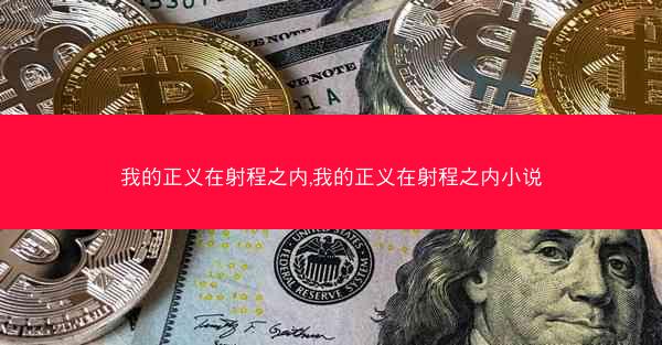 我的正义在射程之内,我的正义在射程之内小说