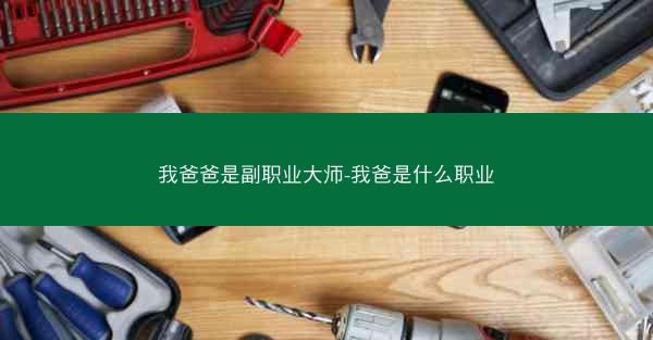 我爸爸是副职业大师-我爸是什么职业