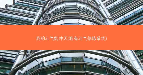 我的斗气能冲天(我有斗气修炼系统)