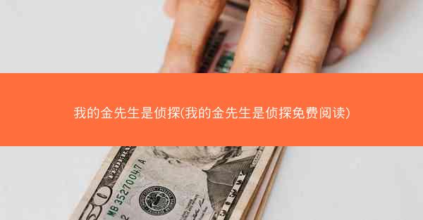 我的金先生是侦探(我的金先生是侦探免费阅读)