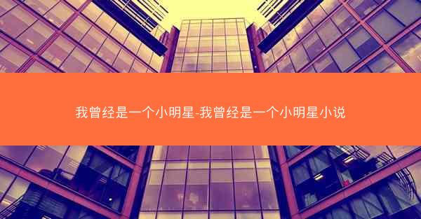 我曾经是一个小明星-我曾经是一个小明星小说