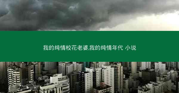 我的纯情校花老婆,我的纯情年代 小说