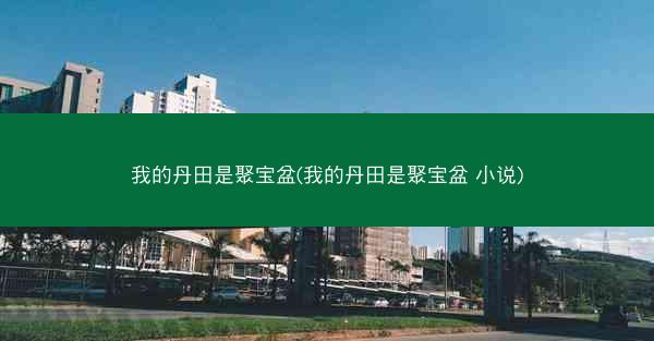 我的丹田是聚宝盆(我的丹田是聚宝盆 小说)