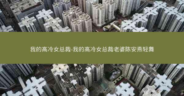 我的高冷女总裁-我的高冷女总裁老婆陈安燕轻舞