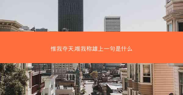 惟我夺天,唯我称雄上一句是什么