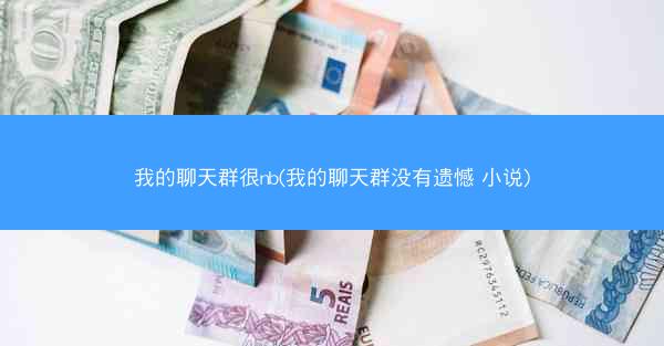我的聊天群很nb(我的聊天群没有遗憾 小说)