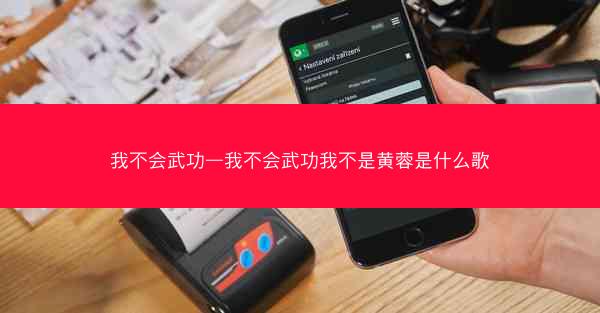 我不会武功—我不会武功我不是黄蓉是什么歌 我不会武功—我不会武功我不是黄蓉是什么歌