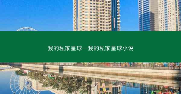 我的私家星球—我的私家星球小说