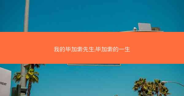 我的毕加索先生;毕加索的一生