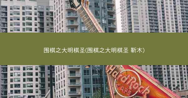 围棋之大明棋圣(围棋之大明棋圣 靳木)