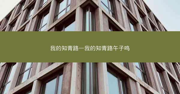 我的知青路—我的知青路午子鸣