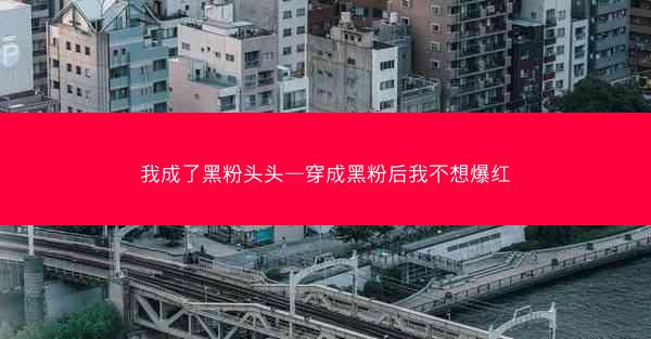 我成了黑粉头头—穿成黑粉后我不想爆红