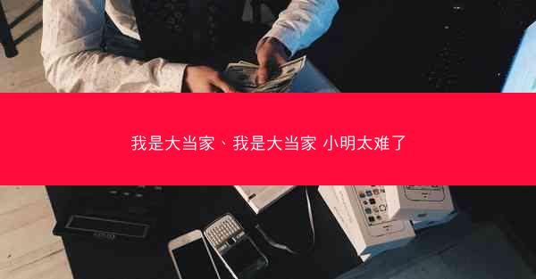 我是大当家、我是大当家 小明太难了