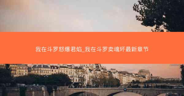 我在斗罗怒爆君焰_我在斗罗卖魂环最新章节
