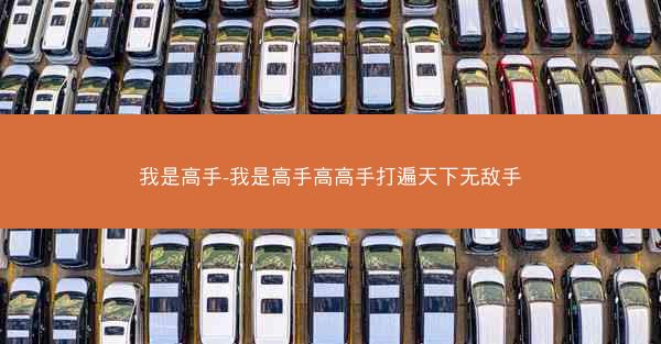 我是高手-我是高手高高手打遍天下无敌手