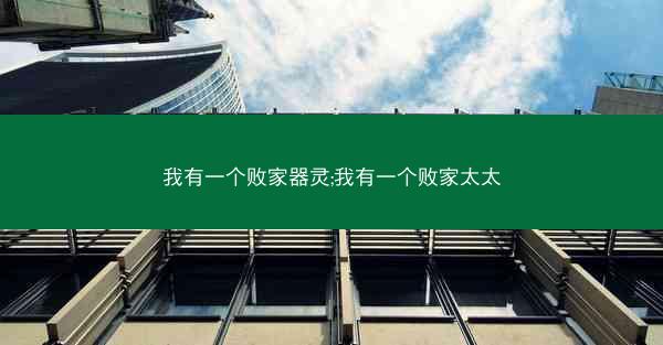 我有一个败家器灵;我有一个败家太太