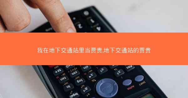 我在地下交通站里当贾贵,地下交通站的贾贵