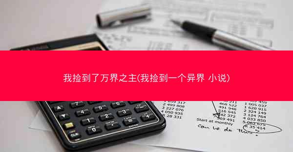 我捡到了万界之主(我捡到一个异界 小说)
