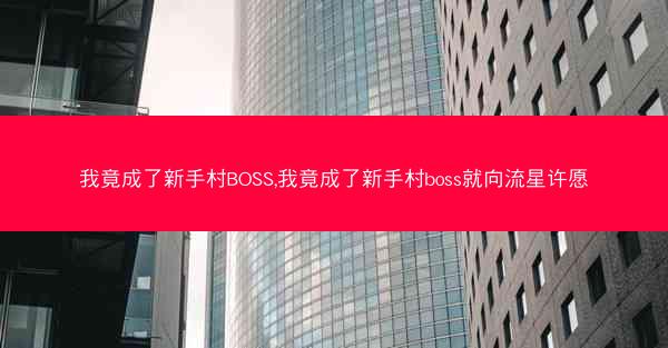 我竟成了新手村BOSS,我竟成了新手村boss就向流星许愿