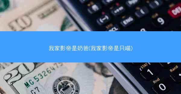 我家影帝是奶爸(我家影帝是只喵)