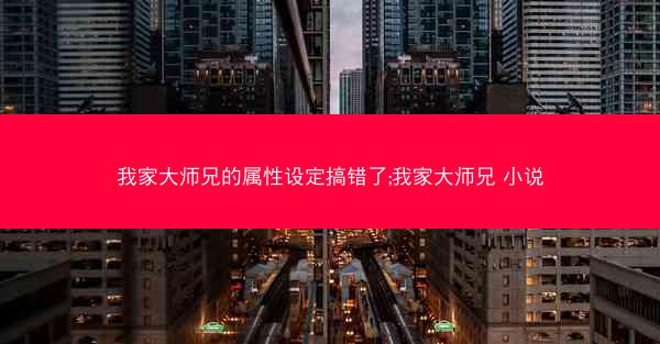 我家大师兄的属性设定搞错了;我家大师兄 小说