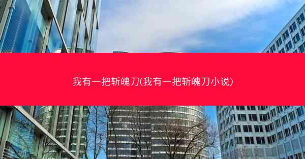 我有一把斩魄刀(我有一把斩魄刀小说)
