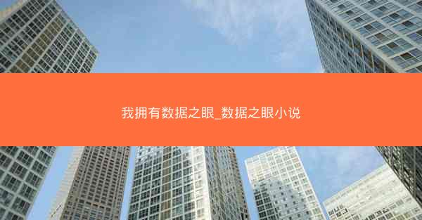我拥有数据之眼_数据之眼小说