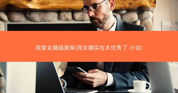 我家女婿超废柴(我女婿实在太优秀了 小说)