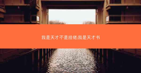 我是天才不是挂佬;我是天才书