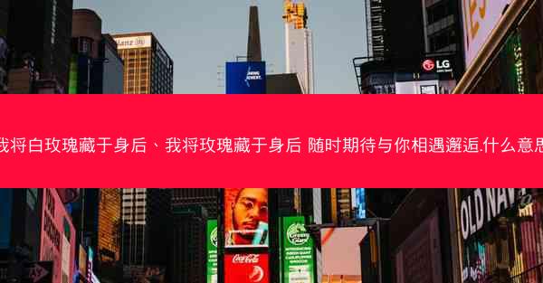 我将白玫瑰藏于身后、我将玫瑰藏于身后 随时期待与你相遇邂逅.什么意思