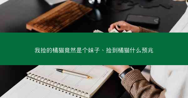 我捡的橘猫竟然是个妹子、捡到橘猫什么预兆