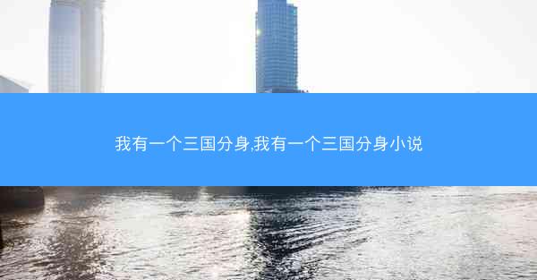 我有一个三国分身,我有一个三国分身小说