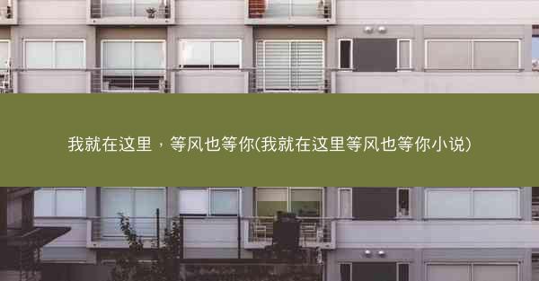 我就在这里，等风也等你(我就在这里等风也等你小说)