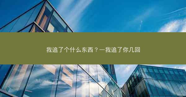 我追了个什么东西？—我追了你几回