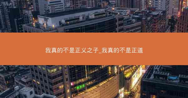 我真的不是正义之子_我真的不是正道