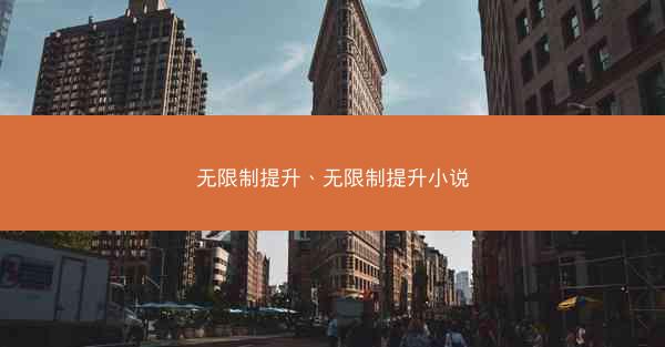 无限制提升、无限制提升小说