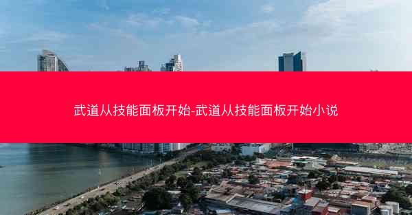 武道从技能面板开始-武道从技能面板开始小说