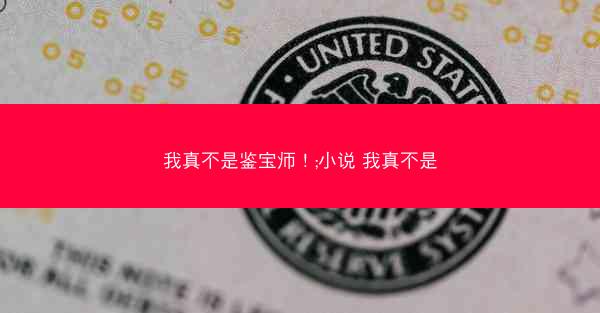 我真不是鉴宝师！;小说 我真不是